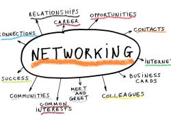 startup networking