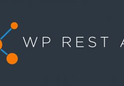 wp-rest-api